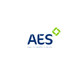 AES1